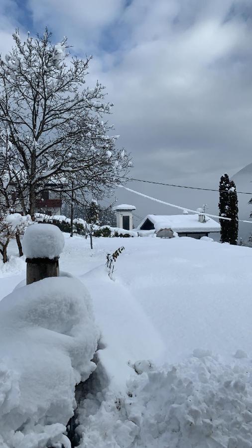 Mansarda La Soffitta Aparthotel Domegge di Cadore Exterior foto