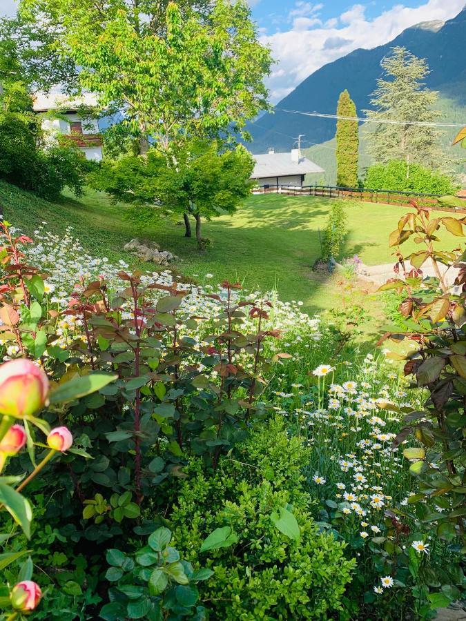 Mansarda La Soffitta Aparthotel Domegge di Cadore Exterior foto